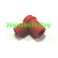 CIP FRECCE VESPA t5