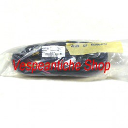CIP FRECCE VESPA t5