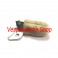 SQUADRETTA PORTA FELTRO VESPA 50 90 125 150 160 180